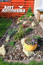 Terasz előtti sziklakert (49)